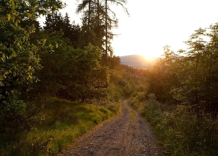 Вилла Family With Sauna, 12p Винтерберг