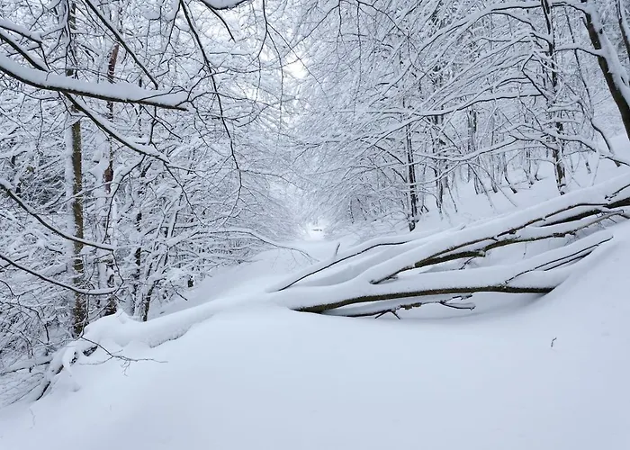 Family With Sauna, 12p Винтерберг